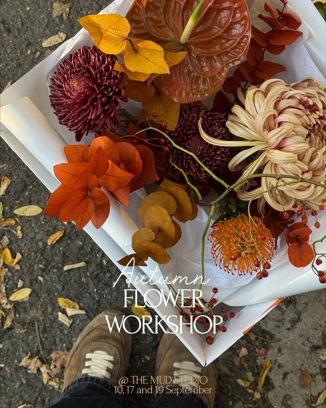 Workshops